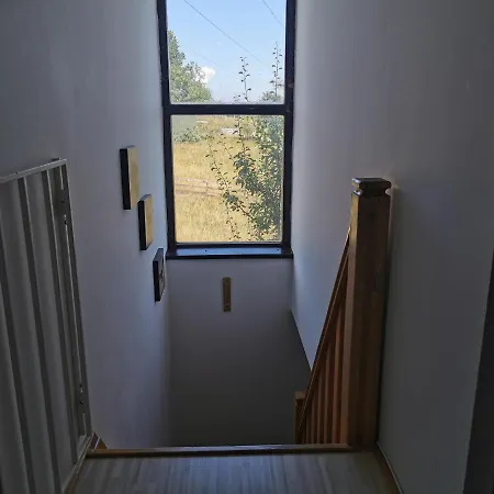 Hajdi Planina Tara Villa