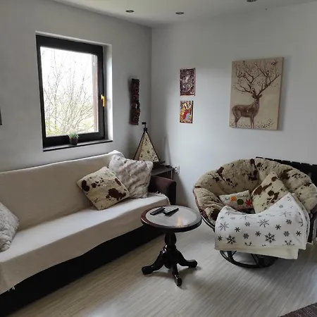 Hajdi Planina Tara *