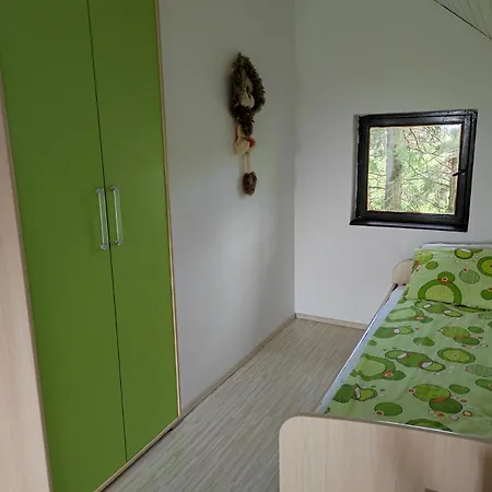 Villa Hajdi Planina Tara Bajina Basta