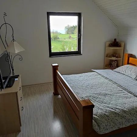 Hajdi Planina Tara Bajina Basta