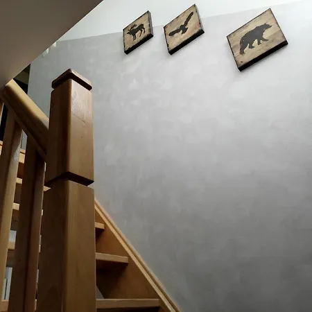 Hajdi Planina Tara *