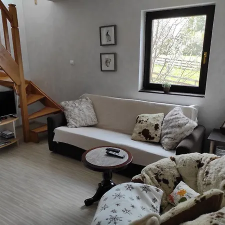 Villa Hajdi Planina Tara Bajina Basta