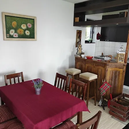 Hajdi Planina Tara Bajina Basta